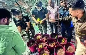 WhatsApp-Image-2025-12-18-at-16.05.50_a05f0d30-300x193